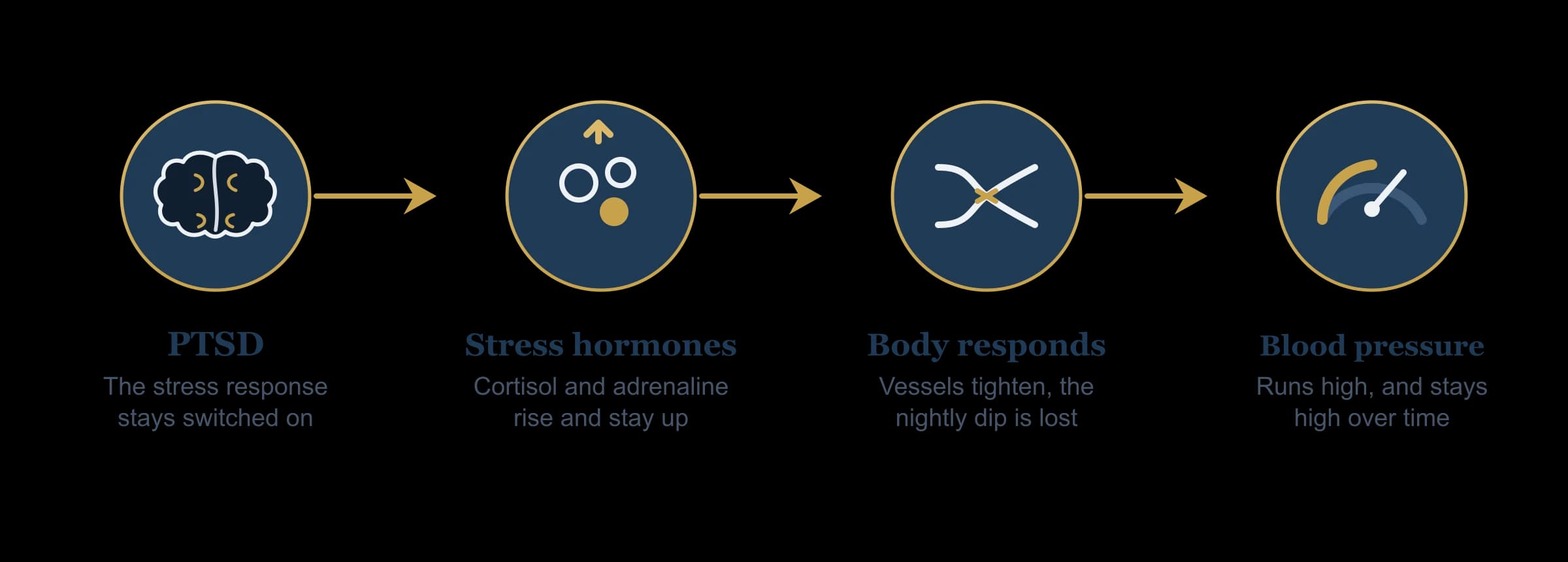 Flow diagram: PTSD keeps the stress response switched on, raising cortisol and adrenaline, which tighten blood vessels and erase the nightly blood-pressure dip, leading to sustained high blood pressure.