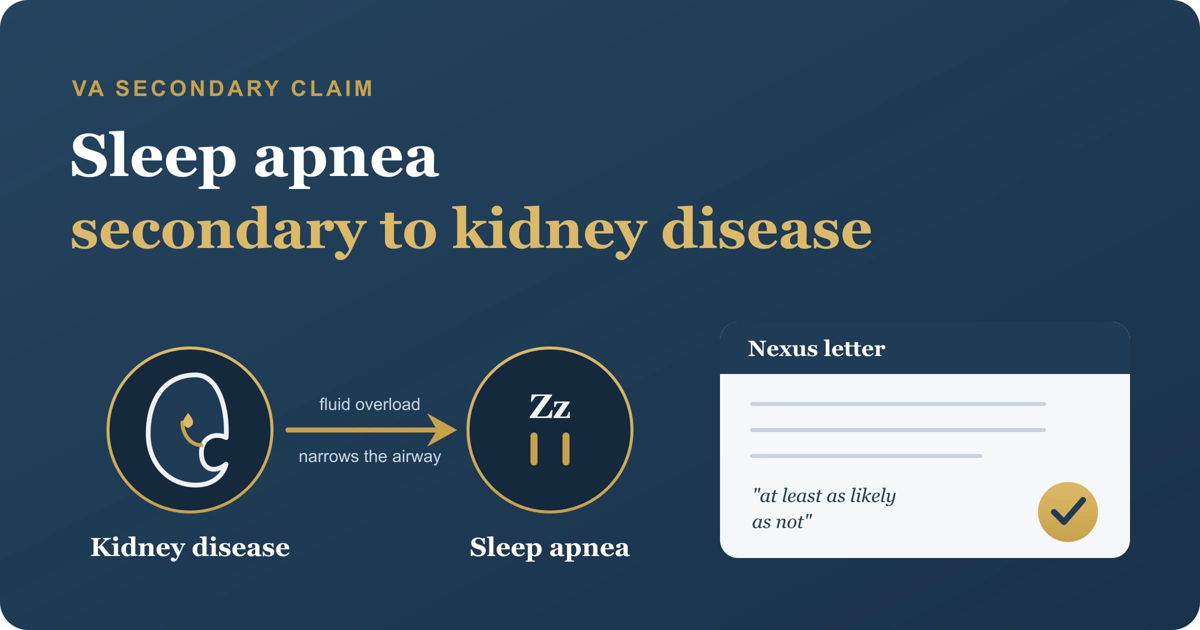 Sleep apnea secondary to kidney disease, the fluid-overload airway link a VA nexus letter documents Diagram linking service-connected kidney disease to obstructive sleep apnea through fluid overload and an overnight fluid shift that narrows the airway, with a nexus letter, the basis of a sleep apnea secondary to kidney disease VA claim.