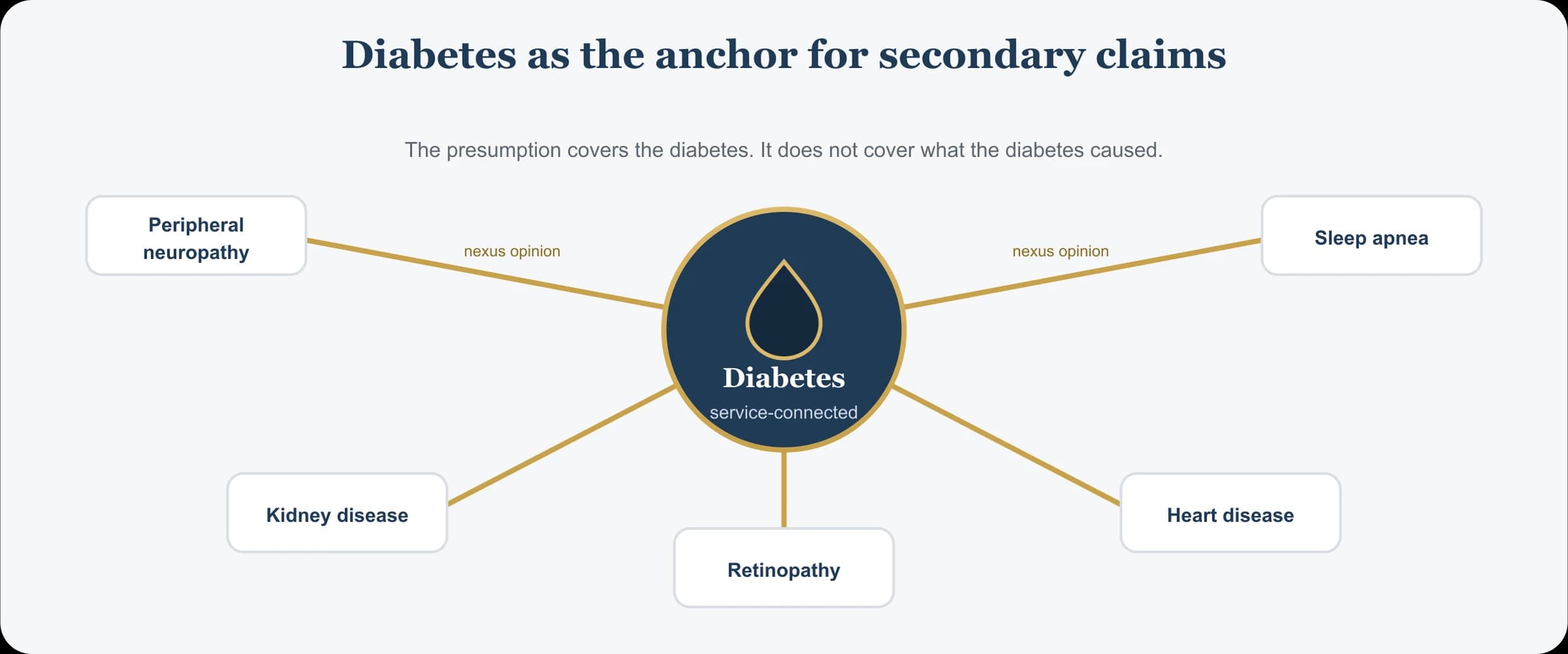 Service-connected diabetes as the anchor for secondary claims, spoking out to peripheral neuropathy, kidney disease, diabetic retinopathy, heart disease, and sleep apnea, each connected by a medical nexus opinion.