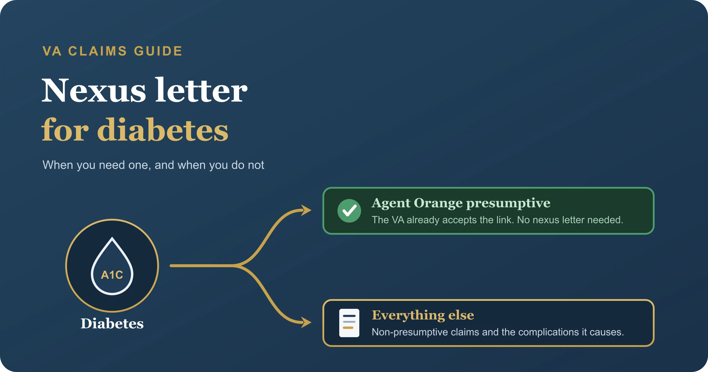 Nexus letter for diabetes, when the Agent Orange presumption already covers you and when it does not A diabetes glucose-drop icon at a fork in the road: one path marked presumed, where Agent Orange exposure means no nexus letter is needed, and one path where a nexus letter document carries the claim.